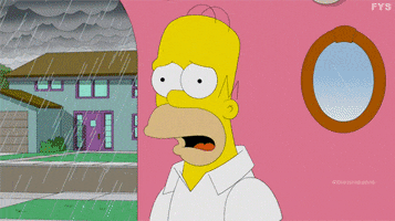 homer simpson what GIF