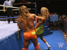 The Ultimate Warrior Wrestling GIF by WWE