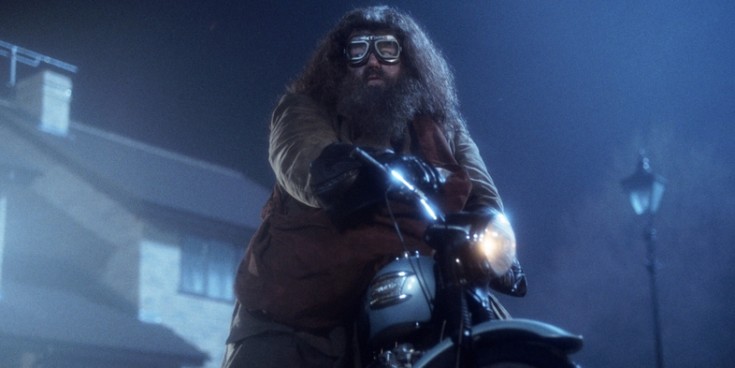Rubeus-Hagrid-in-Harry-Potter-and-the-Sorcerers-Stone.jpg