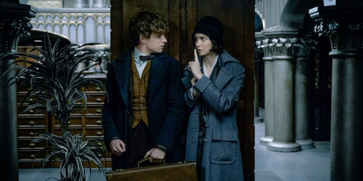 Harry-Potter-Couples-Newt-and-Tina.jpg